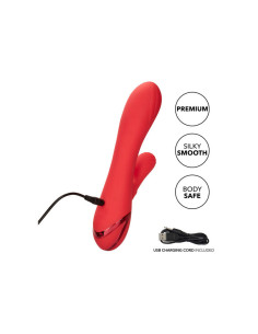 CALEXOTICS - PALISADES PASSION RED 2