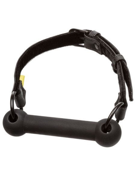 CALEXOTICS - BERIBIAI BAR GAG