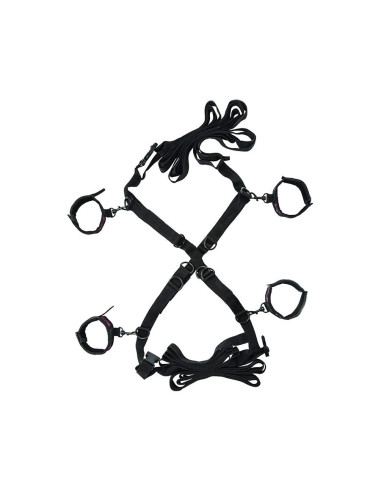 CALEXOTICS - SCANDAL SET OF CROSS BED TIES