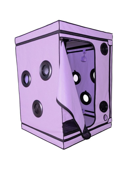 SECRET DOME - KINK KLUBO NAMELIS SKANDALE VIOLETINĖ