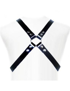 LEATHER BODY - BASIC HARNESS