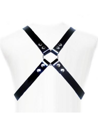 LEATHER BODY - BASIC HARNESS
