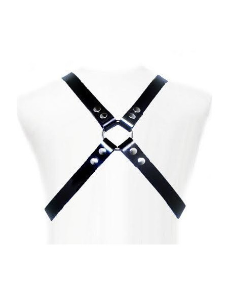 LEATHER BODY - BASIC HARNESS