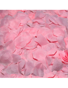 DIABLO PICANTE - 100 PINK PETALS 2