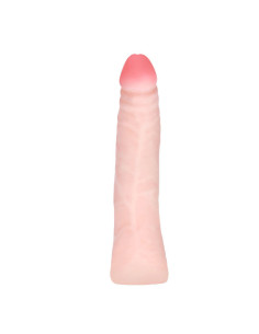 BAILE - REALISTIC SKIN TOUCH SILICONE DILDO 19 CM RANDOM BOX COLOR 2