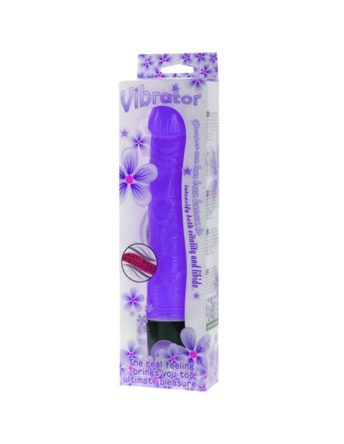 BAILE - VIBRATOR MULTISPEED 21.5 CM PURPLE