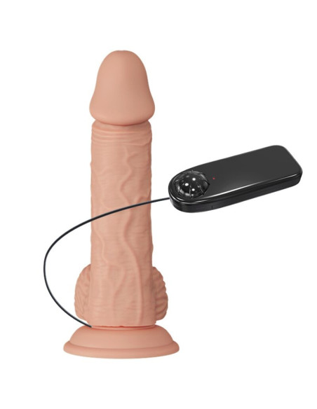 BAILE - GRAŽUS SUSITIKIMAS VIBRACIJA CATOBLEPAS 20,6 CM NATŪRALUS