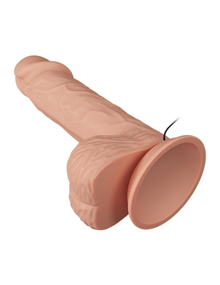BAILE - GRAŽUS SUSITIKIMAS VIBRACIJA CATOBLEPAS 20,6 CM NATŪRALUS