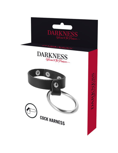 DARKNESS - METAL RING FOR THE PENIS AND TESTICLES