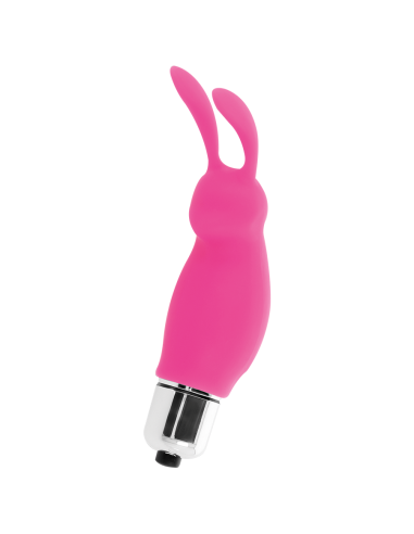 INTENSE - RABBIT ROGER ROSA