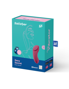 SATISFYER - SEXY SECRET PANTY 2