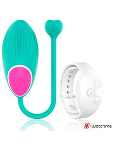 WEARWATCH – KIAUŠINIO NUOTOLINIO WATCHME TECHNOLOGIJA, JŪROS VANDUO – SNIEGAS 2