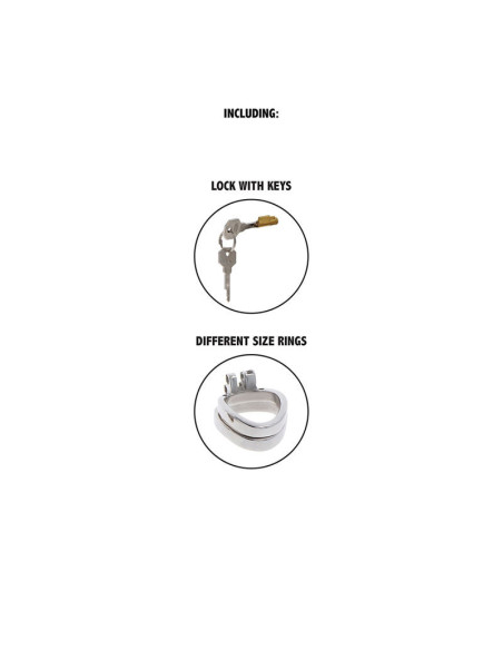 HIDDEN DESIRE - EKSTREMALI SKAISTYBĖ, METALINIS POVEIKIO NARVAS