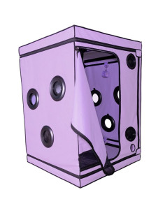 SECRET DOME - KINK CLUB CABIN SCANDALE PURPLE 2